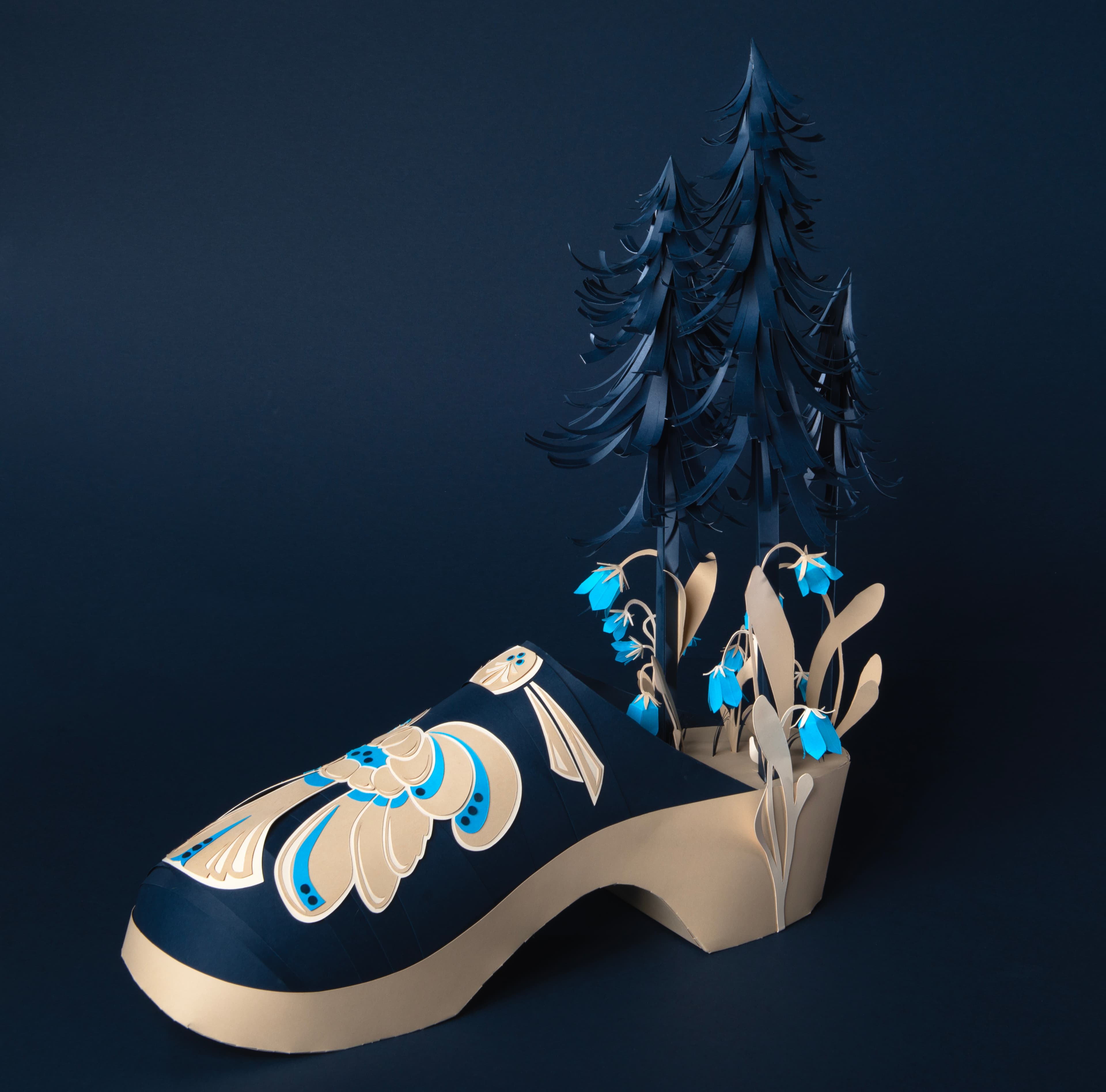 shoeTwo